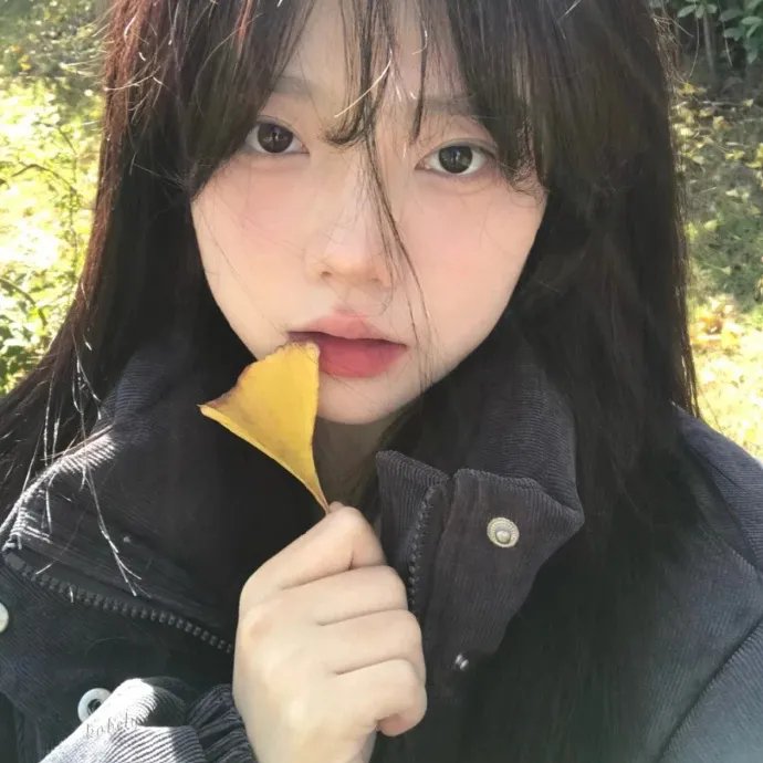 水果篮子 最终季